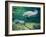 Crystal River Manatee-Lucy P. McTier-Framed Giclee Print