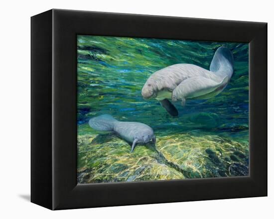 Crystal River Manatee-Lucy P. McTier-Framed Premier Image Canvas