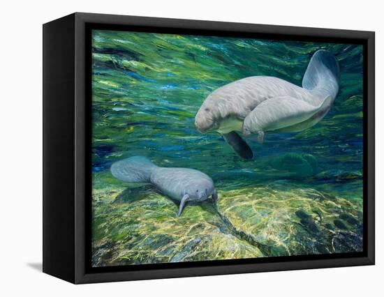 Crystal River Manatee-Lucy P. McTier-Framed Premier Image Canvas