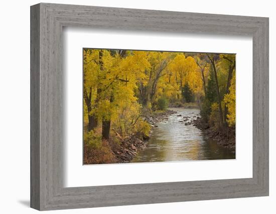 Crystal River, White River National Forest Colorado, USA-Charles Gurche-Framed Photographic Print