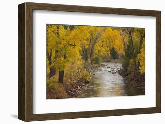 Crystal River, White River National Forest Colorado, USA-Charles Gurche-Framed Photographic Print
