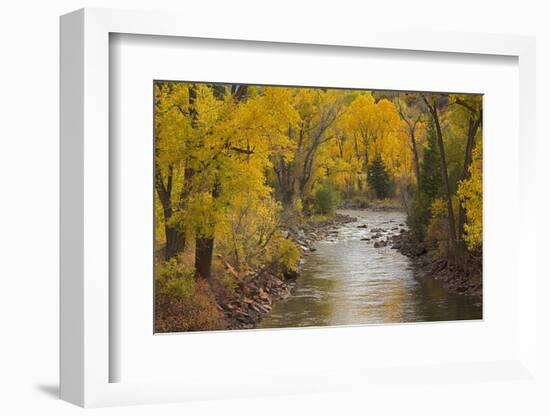 Crystal River, White River National Forest Colorado, USA-Charles Gurche-Framed Photographic Print