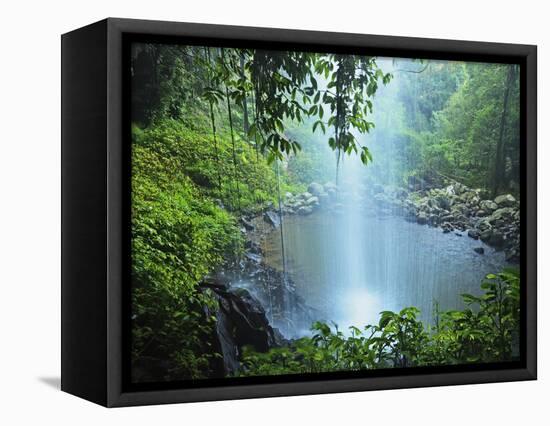 Crystal Shower Falls, Dorrigo National Park, New South Wales, Australia, Pacific-Jochen Schlenker-Framed Premier Image Canvas