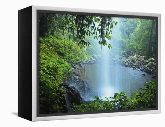 Crystal Shower Falls, Dorrigo National Park, New South Wales, Australia, Pacific-Jochen Schlenker-Framed Premier Image Canvas