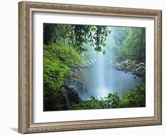 Crystal Shower Falls, Dorrigo National Park, New South Wales, Australia, Pacific-Jochen Schlenker-Framed Photographic Print