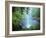 Crystal Shower Falls, Dorrigo National Park, New South Wales, Australia, Pacific-Jochen Schlenker-Framed Photographic Print