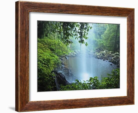 Crystal Shower Falls, Dorrigo National Park, New South Wales, Australia, Pacific-Jochen Schlenker-Framed Photographic Print