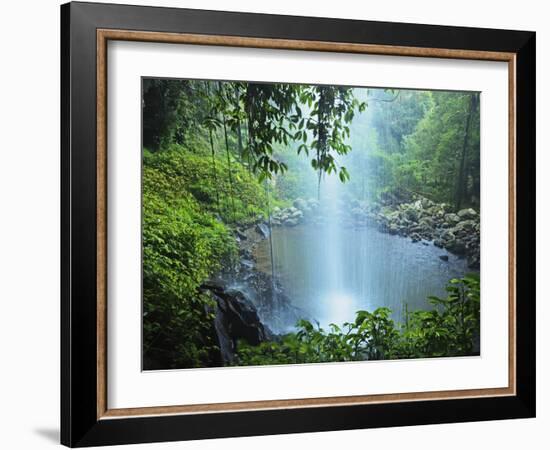 Crystal Shower Falls, Dorrigo National Park, New South Wales, Australia, Pacific-Jochen Schlenker-Framed Photographic Print