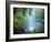 Crystal Shower Falls, Dorrigo National Park, New South Wales, Australia, Pacific-Jochen Schlenker-Framed Photographic Print