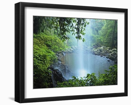 Crystal Shower Falls, Dorrigo National Park, New South Wales, Australia, Pacific-Jochen Schlenker-Framed Photographic Print