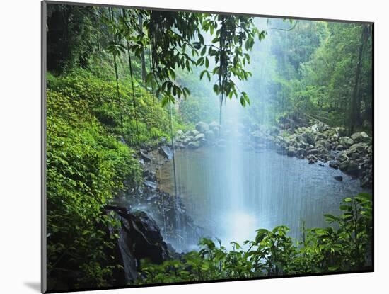 Crystal Shower Falls, Dorrigo National Park, New South Wales, Australia, Pacific-Jochen Schlenker-Mounted Photographic Print