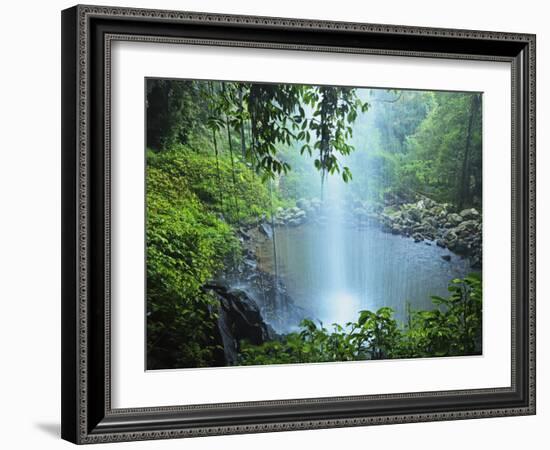 Crystal Shower Falls, Dorrigo National Park, New South Wales, Australia, Pacific-Jochen Schlenker-Framed Photographic Print