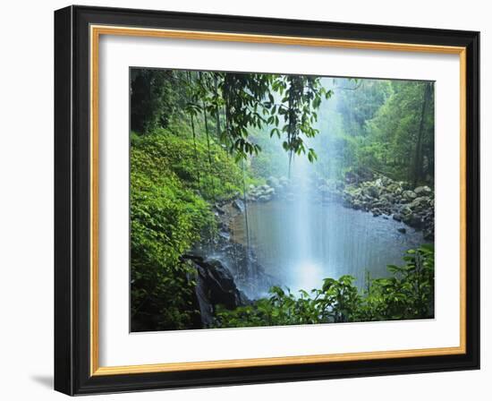 Crystal Shower Falls, Dorrigo National Park, New South Wales, Australia, Pacific-Jochen Schlenker-Framed Photographic Print