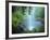 Crystal Shower Falls, Dorrigo National Park, New South Wales, Australia, Pacific-Jochen Schlenker-Framed Photographic Print