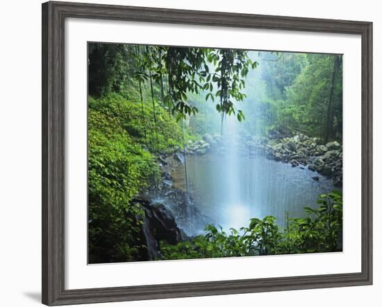 Crystal Shower Falls, Dorrigo National Park, New South Wales, Australia, Pacific-Jochen Schlenker-Framed Photographic Print