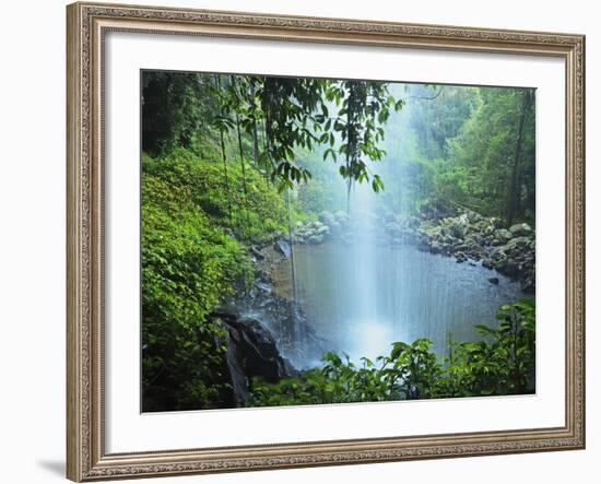 Crystal Shower Falls, Dorrigo National Park, New South Wales, Australia, Pacific-Jochen Schlenker-Framed Photographic Print