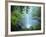 Crystal Shower Falls, Dorrigo National Park, New South Wales, Australia, Pacific-Jochen Schlenker-Framed Photographic Print