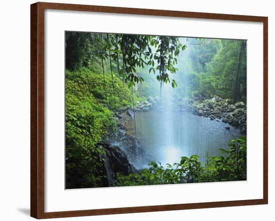 Crystal Shower Falls, Dorrigo National Park, New South Wales, Australia, Pacific-Jochen Schlenker-Framed Photographic Print