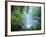 Crystal Shower Falls, Dorrigo National Park, New South Wales, Australia, Pacific-Jochen Schlenker-Framed Photographic Print