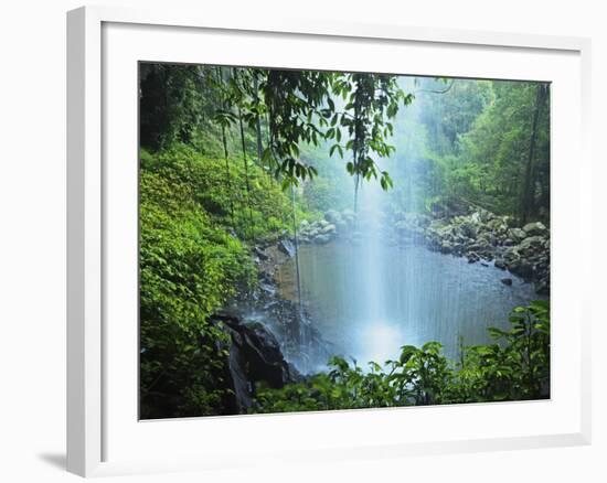 Crystal Shower Falls, Dorrigo National Park, New South Wales, Australia, Pacific-Jochen Schlenker-Framed Photographic Print