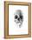 Crystal Skull-Alexis Marcou-Framed Stretched Canvas