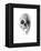 Crystal Skull-Alexis Marcou-Framed Stretched Canvas