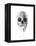 Crystal Skull-Alexis Marcou-Framed Stretched Canvas