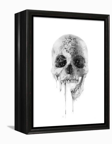 Crystal Skull-Alexis Marcou-Framed Stretched Canvas