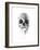 Crystal Skull-Alexis Marcou-Framed Art Print