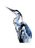Coastal Blue Egret-Crystal Smith-Framed Art Print