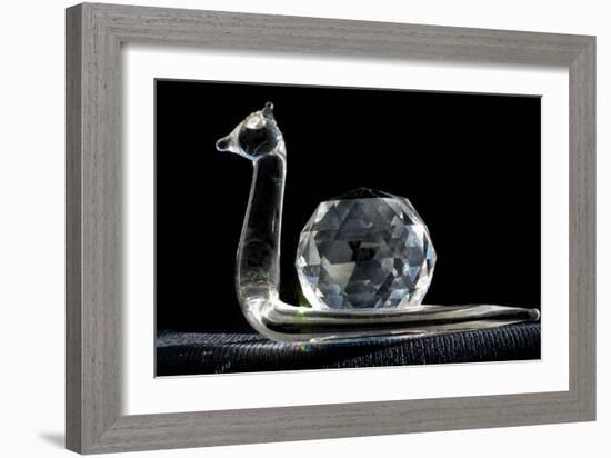 Crystal Snail Ornament-Charles Bowman-Framed Photographic Print