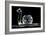 Crystal Snail Ornament-Charles Bowman-Framed Photographic Print