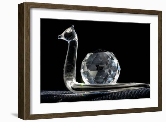 Crystal Snail Ornament-Charles Bowman-Framed Photographic Print