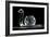 Crystal Snail Ornament-Charles Bowman-Framed Photographic Print