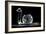 Crystal Snail Ornament-Charles Bowman-Framed Photographic Print