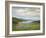 Crystal Springs Vista-Sheila Finch-Framed Art Print