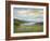 Crystal Springs Vista-Sheila Finch-Framed Art Print