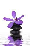 Branch Purple Orchid Flower With Therapy Stones-crystalfoto-Photographic Print