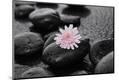 Photographic Print