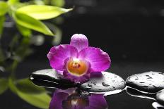 Beautiful Orchid and Stone with Water Reflection-crystalfoto-Photographic Print