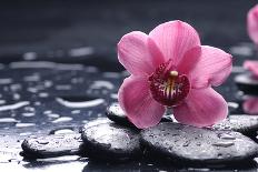 Pink Orchid and Stones with Bamboo Green Leaf-crystalfoto-Photographic Print