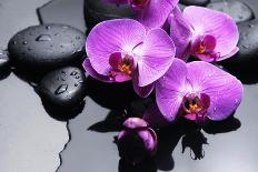 Still Life with Pebble and Macro of Orchid with Water Drops-crystalfoto-Photographic Print