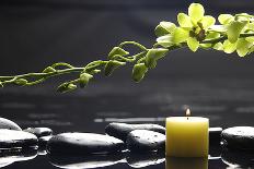 Zen Stones and Green Orchids with Water Drops-crystalfoto-Photographic Print