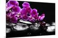 Premium Photographic Print