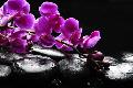 Premium Photographic Print