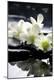 Premium Photographic Print