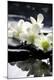Premium Photographic Print