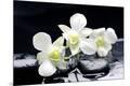 Premium Photographic Print