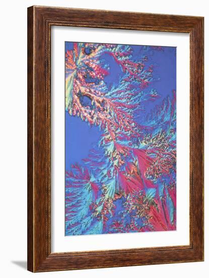 Crystals of Adrenalin Hormone-David Parker-Framed Photographic Print