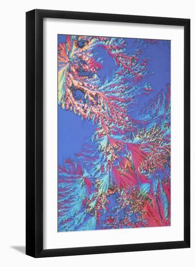 Crystals of Adrenalin Hormone-David Parker-Framed Photographic Print